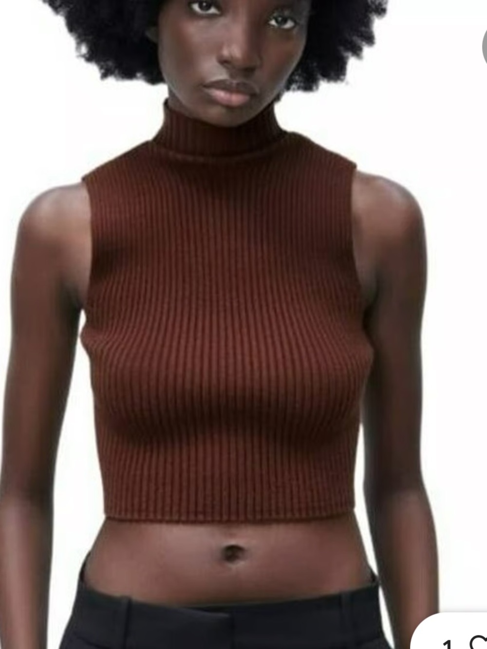 Zara Brown Ribbed Sleeveless Mock Neck Crop Tank